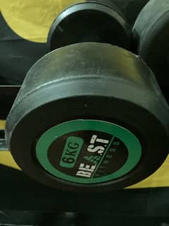 Beast 6kg dumbbell (single)