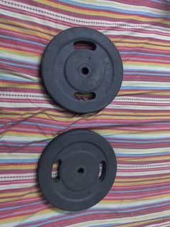 dumbbell plates 10 kg pair