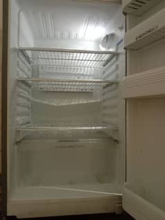 orient fridge