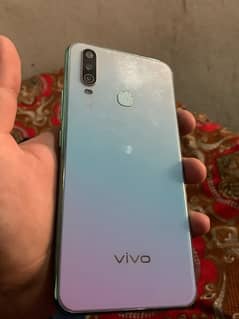 Vivo