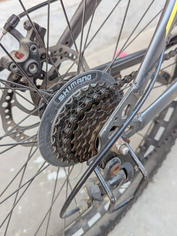 Your Next Adventure Start Here (Cycle) 10