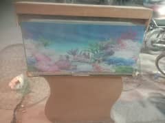 aquarium
