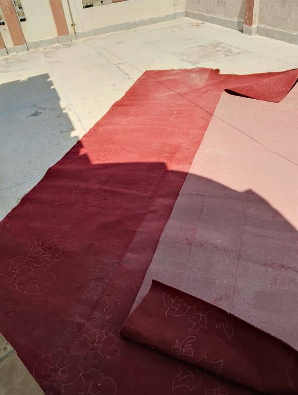 carpet red color 1