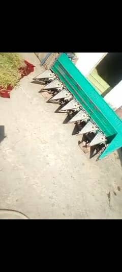 raper for sale 220demand for call 03014682003