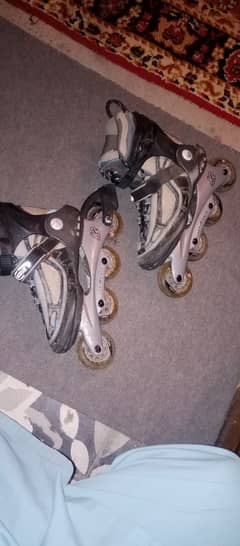 Skates