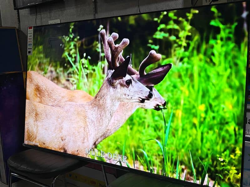 55  INCH  Q LED 4K SMART  NEW BOX PACK  03228083060 0