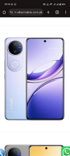 Vivo