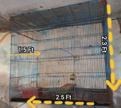 parrots cage