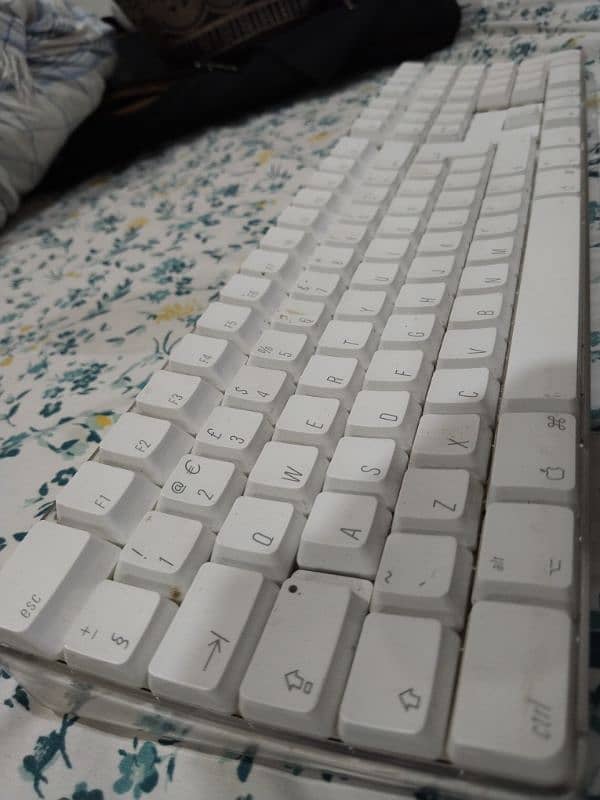 Apple & Logitech Wireless Keyboard 03009270434 5