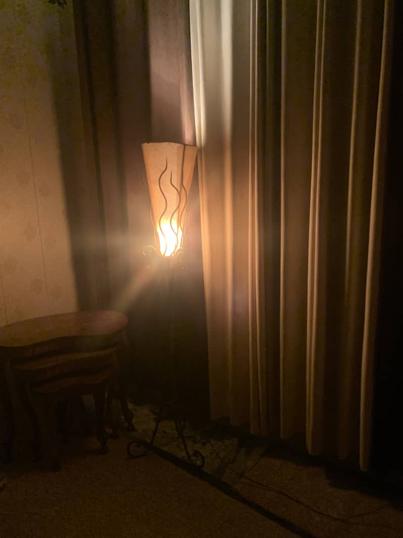 Solid floor lamp no damage 1