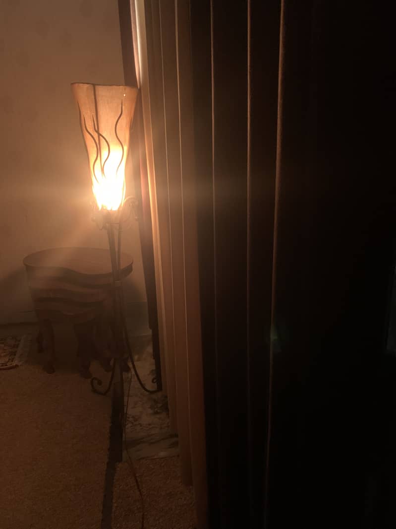 Solid floor lamp no damage 4