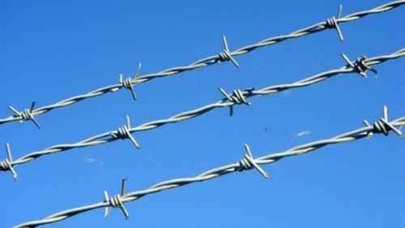 chain link fence razor wire barbed wire welded mesh Security Wire jali 3