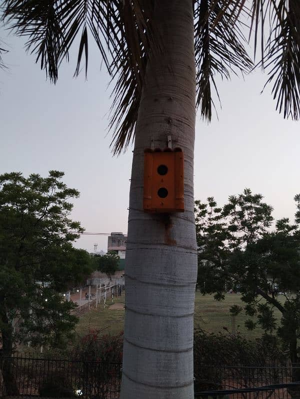 Bird house - 2 peigon holes. Very sturdy and solid Bamboo and Lasani. 8