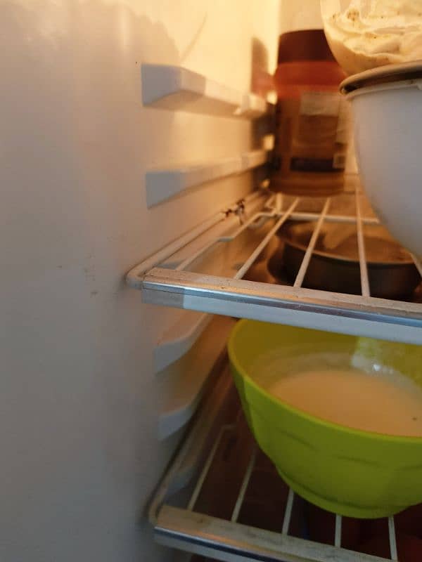 Haier Refrigerator HRF-300m Fridge 7