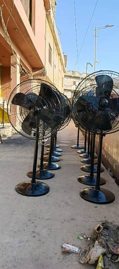 fans ha