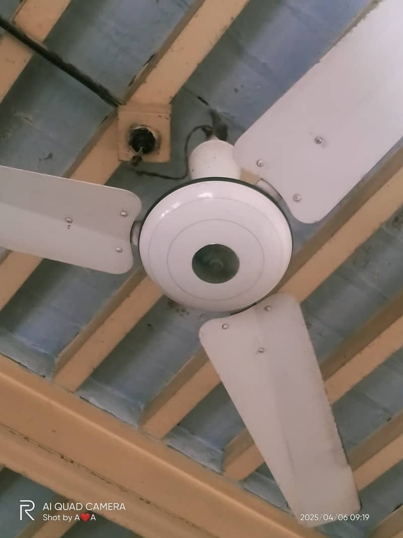 2 Fans conditio 9/10 pure copper 0