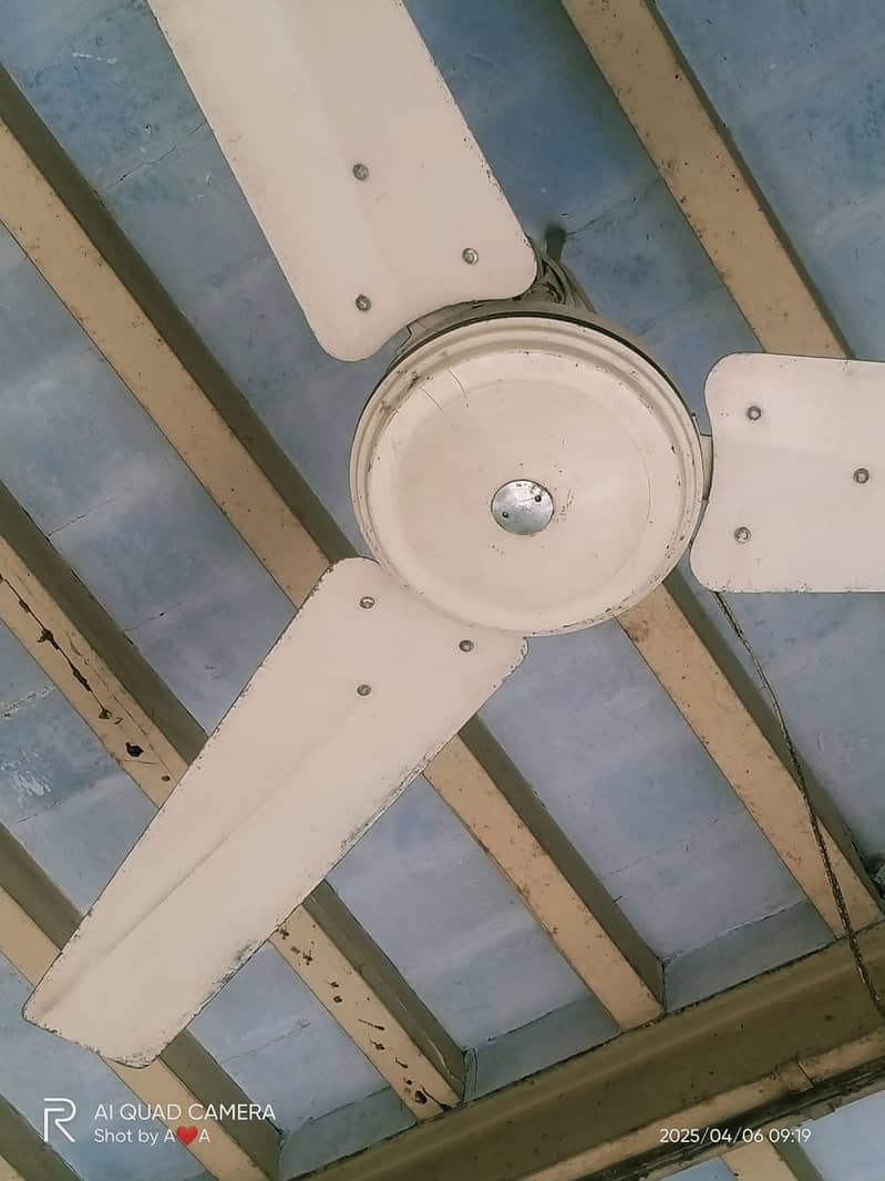 2 Fans conditio 9/10 pure copper 1