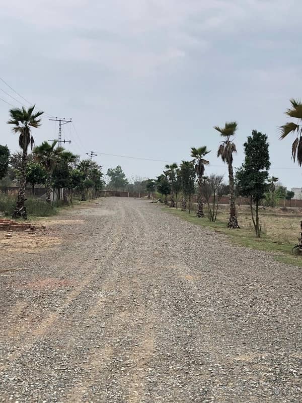A Residential Plot Of 3 Kanal In Lahore 3