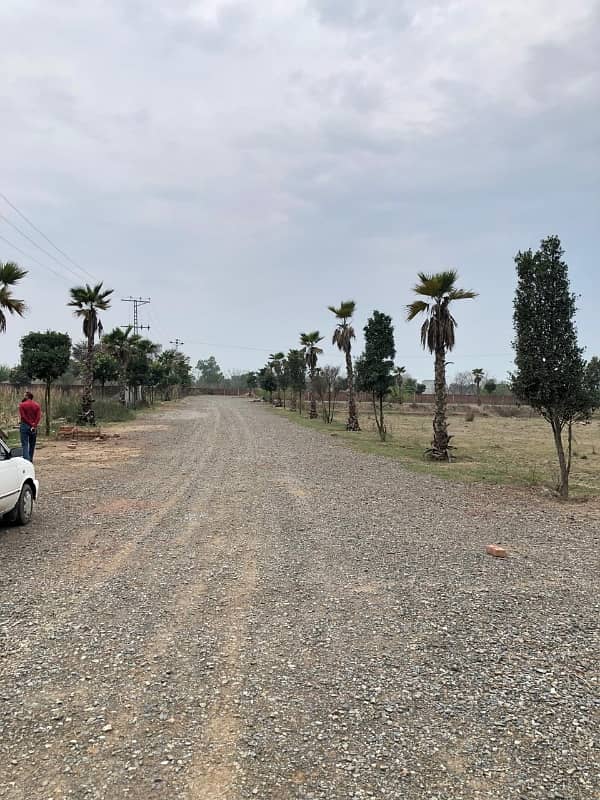 A Residential Plot Of 3 Kanal In Lahore 5
