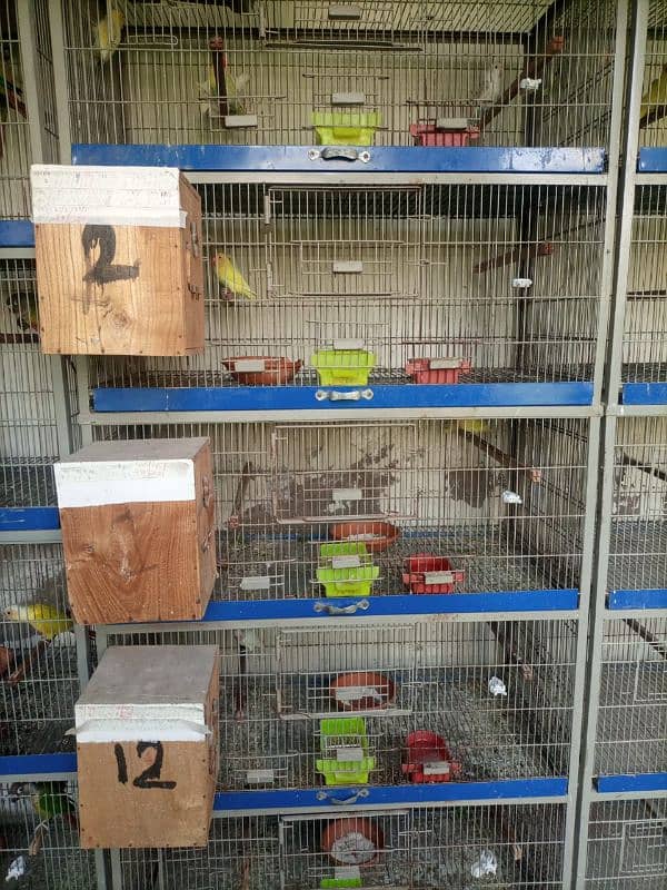 cages available 0