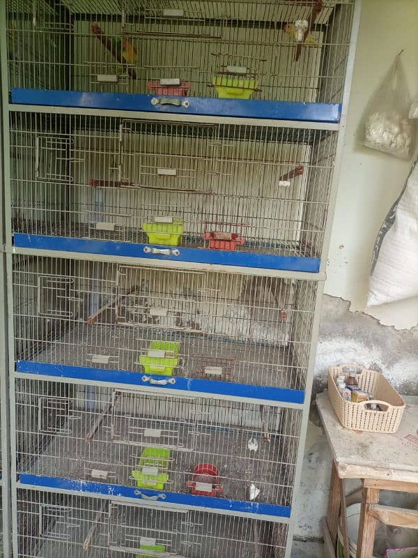 cages available 2