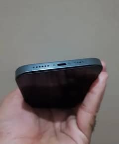 12 pro max