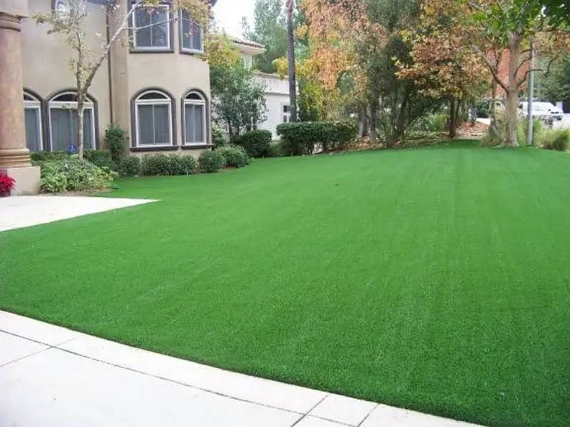 Artificial Grass| Grass Carpet | American grass carpet | Astro turf 19