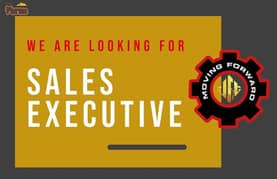 1-Sales Co-ordinator   2-Sales Executive
