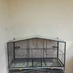 parrot caged  a one like new