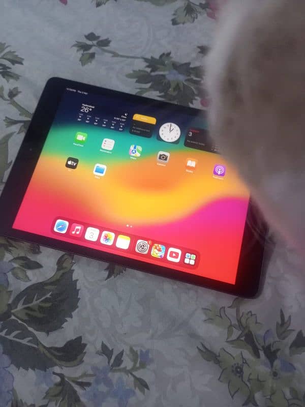 Apple IPad 8th generation 10/10 condition 2