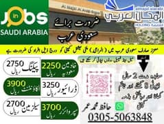 Work visa /Job Available / Job/Jobs /Jobs in Saudi Arabia /need Staff