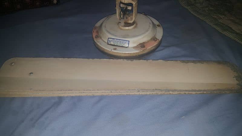 Celling fan 100% copper winding pak fan 56"inch. (02) 0