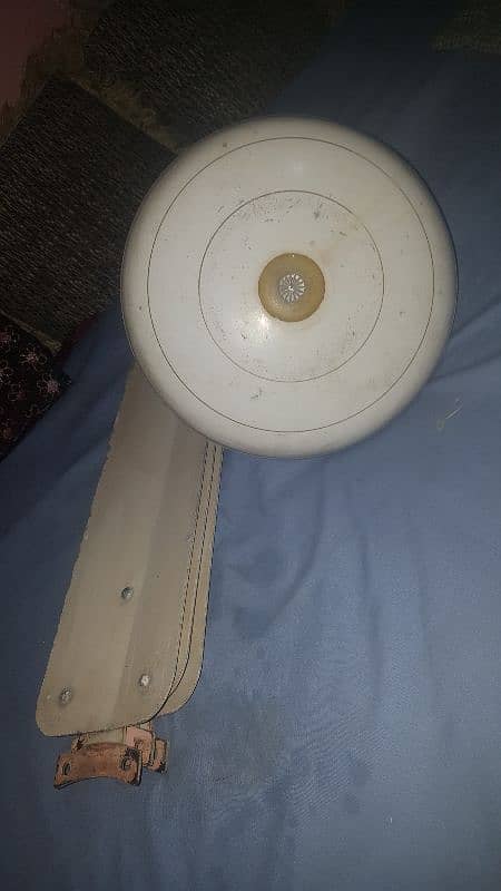Celling fan 100% copper winding pak fan 56"inch. (02) 1