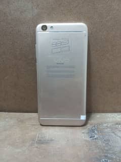 Vivo