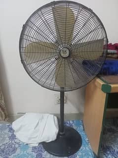 10/10 condition