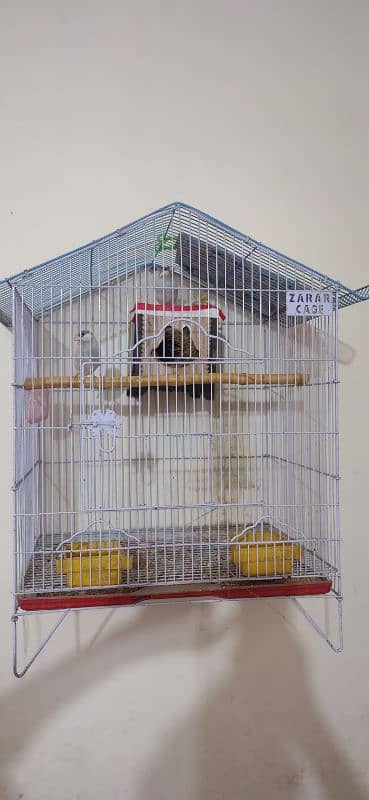 Silver java pair with cage 0