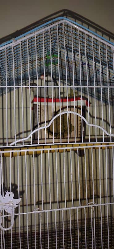 Silver java pair with cage 3