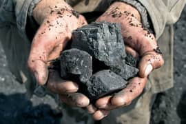 Coal