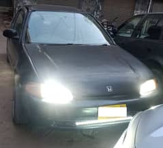 CIVIC - Dolphin - 1995