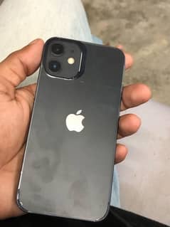 iphone 12 mini