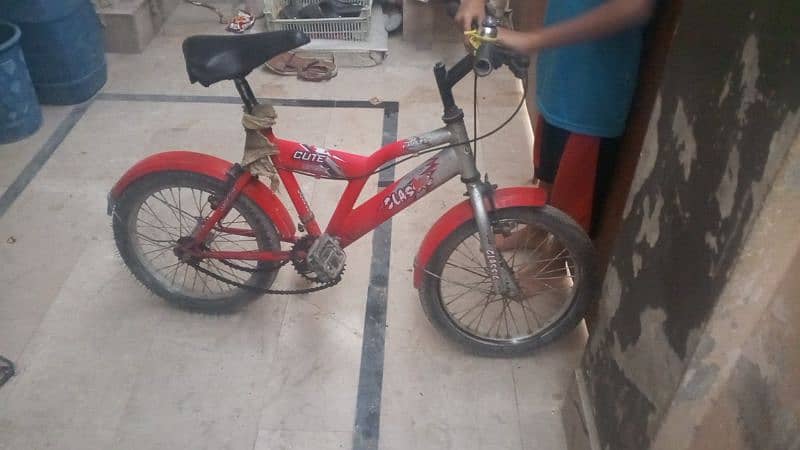 8 years bicycle final price 1