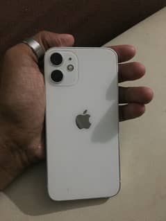 10/10 12 mini