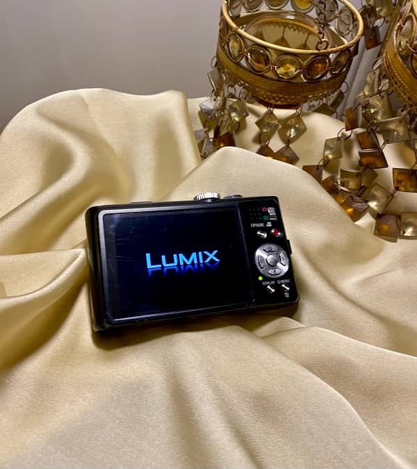 Panasonic lumix DMC-TZ10 Digital Camera 5