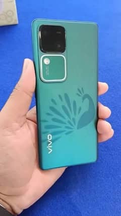 vivo v30