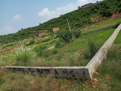 Premium Shaheen town ph4 plot for sale Registry inteqaal possession