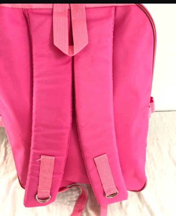 School Girls pink bags 2