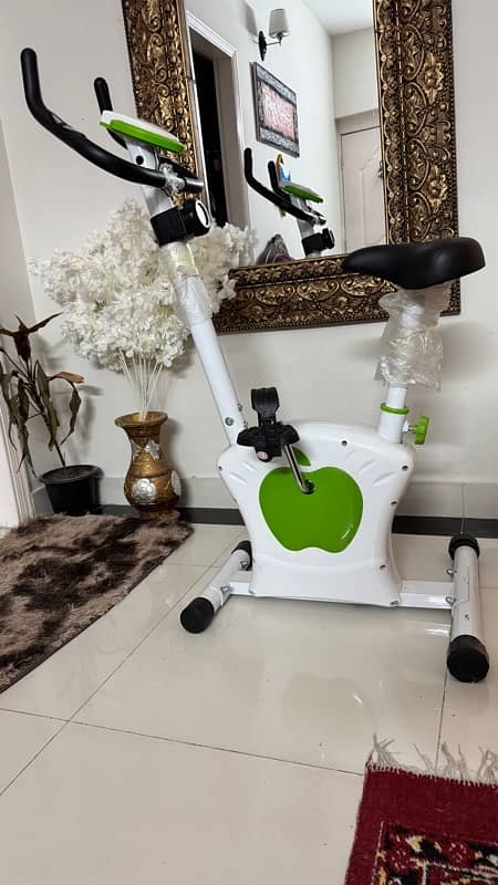 Magnetic Exercise Cycle 4