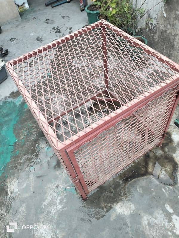 Fancy iron dog cage (pingra). bilkul new hai. 03210071111 4
