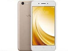 Vivo