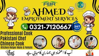 Babysitter Nanny Patient Care Nurse Couple Cook Chef Maid Available